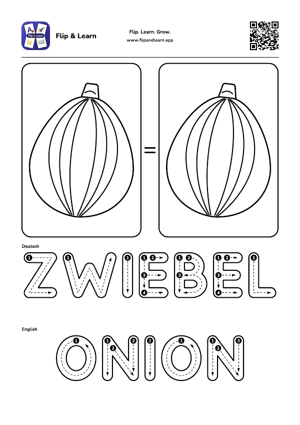 Ausmalbild Zwiebel mit Schreibübung für ZWIEBEL und ONION